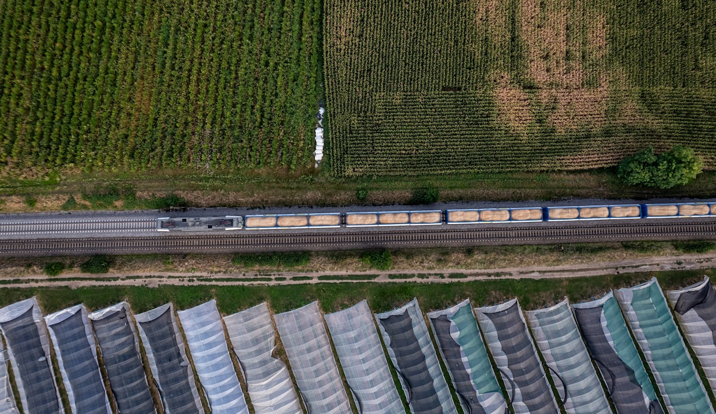 Why Reliable Logistics Partners Are Key to Business Success